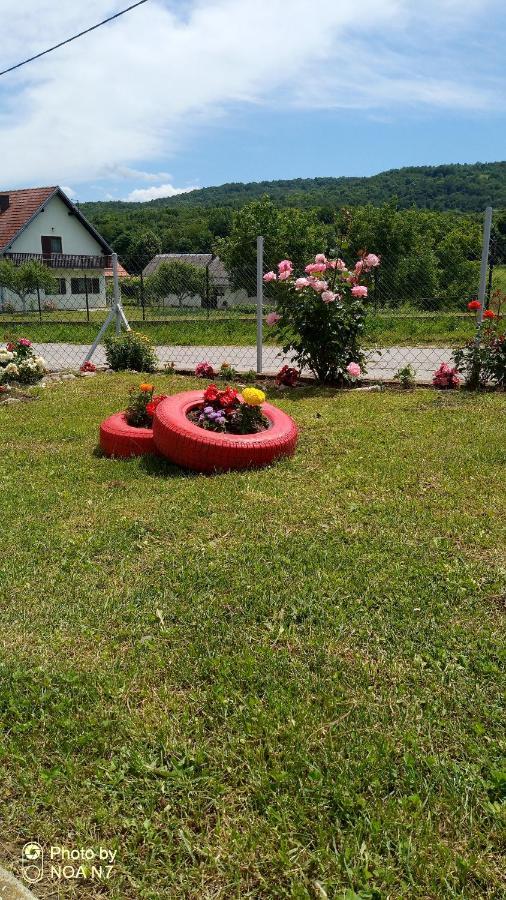 Apartment Dolores Smoljanac Kültér fotó