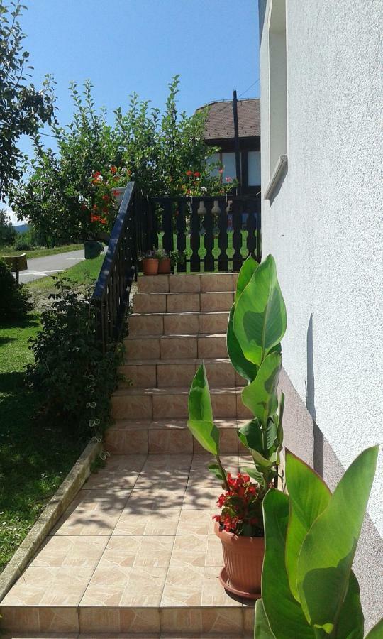 Apartment Dolores Smoljanac Kültér fotó